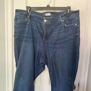 Women’s Plus Size LOFT Jeans